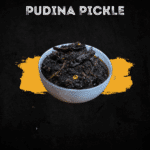 PUDINA